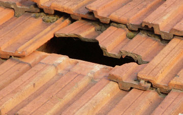 roof repair Haresceugh, Cumbria